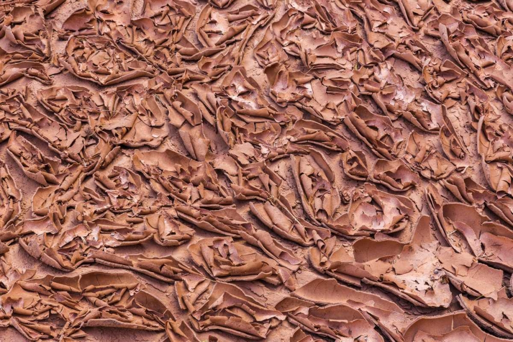 UT, Glen Canyon Dried mud left by Lake Powell